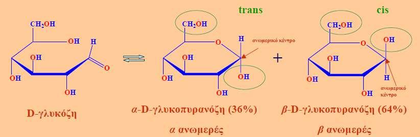 Ανωμερή μονοσακχαριτών Η γλυκόζη κυκλοποιείται αντιστρεπτά σε υδατικό διάλυμα σχηματίζοντας ένα μίγμα δύο ανωμερών σε αναλογία 36:64 Σχηματισμός ενός νέου