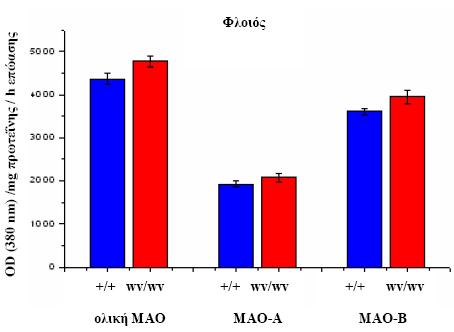 Αποτελέσματα Πίνακας 8. Επίπεδα της μεταβολή της ενζυμικής ενεργότητας της ολικής ΜΑΟ, ΜΑΟ-Α και ΜΑΟ-Β στο φλοιό φυσιολογικών και weaver μυών.