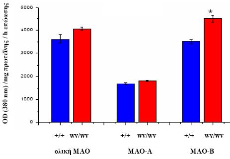 Αποτελέσματα Πίνακας 11. Επίπεδα της μεταβολή της ενζυμικής ενεργότητας της ολικής ΜΑΟ, ΜΑΟ-Α και ΜΑΟ-Β στο μεσεγκέφαλο φυσιολογικών και weaver μυών.