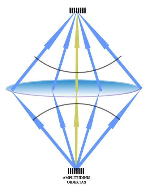 skiriasi per λ/2 XI.