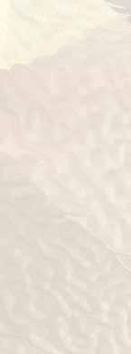 Saccharomyces cerevisiae aktivləşdirilməmiş maya).