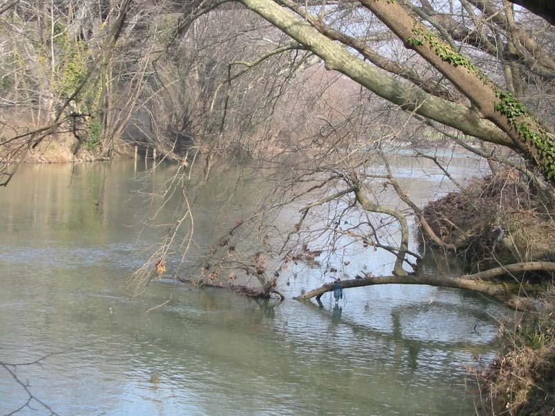 Τεμπών Εικόνα 5: Ο Πηνειός