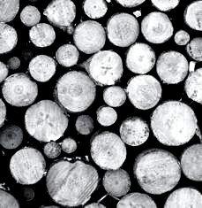 ΤΖΑΚΙ NIREAS Οξιά Το ξύλο κωνοφόρων είναι ιδανικό για καύση αλλά απαιτείται υψηλή θερµοκρασία για την ανάφλεξή του.