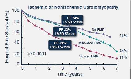 Prognostic Value of FMR in HF pts