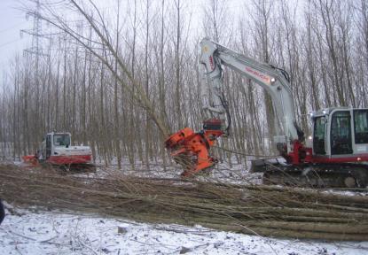 μικρός, κλίσεις Ποσότητα συγκομιζόμενου ξύλου: έκταση, συχνότητα Υγρασία του εδάφους: ευκολία στη