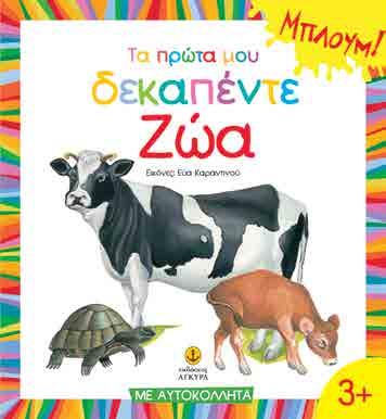 ΓΝΩΣΕΙΣ - ΔΡΑΣΤΗΡΙΟΤΗΤΕΣ - ΚΑΤΑΣΚΕΥΕΣ