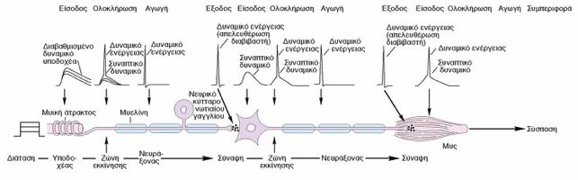 Μετασχηματισμός σημάτων σε ένα