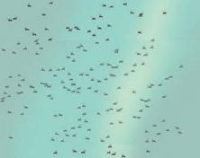 Αντικειμενοστρέφεια 21 Προγραμματισμός με αντικείμενα Χαρακτηριστικά Συμπεριφορά 100 αντικείμενα μύγα Χαρακτηριστικά μύγας: Είδος φτερών, ήχος, μέγεθος, κ.λπ.