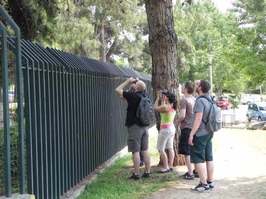4 ος Άξονας: Δημιουργία και λειτουργία νέων δομών & δομών ανάπτυξης ίδιων εσόδων Εκδοτικός Οίκος ΑΠΘ Σε συνέχεια της σύστασης της Επιτροπής Εκδόσεων και Δημοσιευμάτων προτάθηκε η