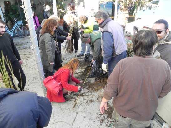 Στο πρόγραμμά του συμπεριλήφθησαν πανεπιστημιακά συγγράμματα, επιστημονικά βιβλία, μελέτες και ειδικά αφιερώματα.