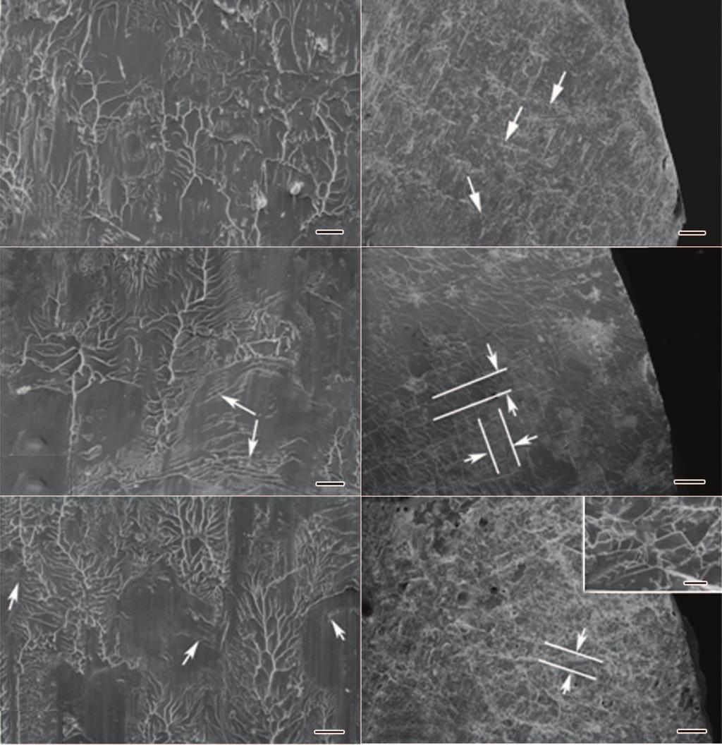 414 ß ¼ 45 6 Í ß Ç SEM Ð Fig.6 SEM images of fracture surface (a, c, e) and their side images near surface (b, d, f) of the samples obtained with the withdrawal velocities of 0.2 mm/s (a, b), 0.