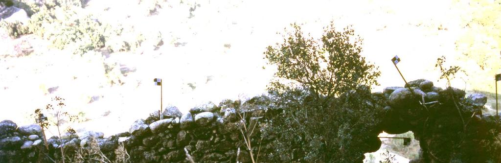 διακρίνονται