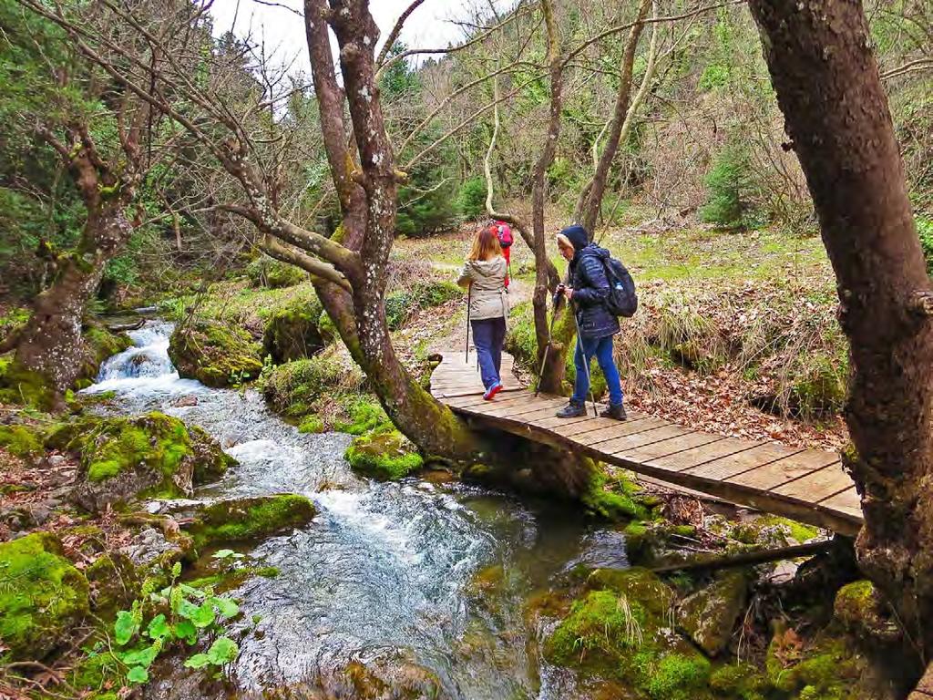 Η σημερινή μας εξόρμηση θα μας φέρει στην Οίτη, το βουνό των χρωμάτων και το βουνό του Ηρακλή. Θα γνωρίσουμε την Παύλιανη, ένα πανέμορφο χωριό της Φθιώτιδας.