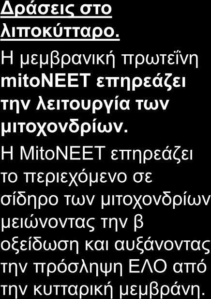 Από τις γλιταζόνες και τον μηχανισμό δράσης τους σε νέα