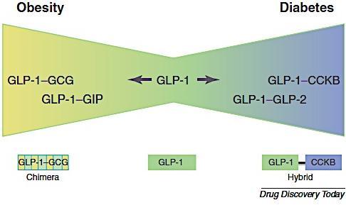 Drug Discovery Today