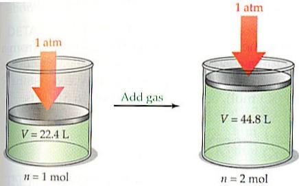 Avogadro (V/n = constant σε