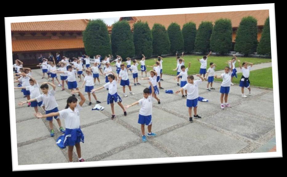 The students learnt an abundance of information that consolidated their knowledge on the