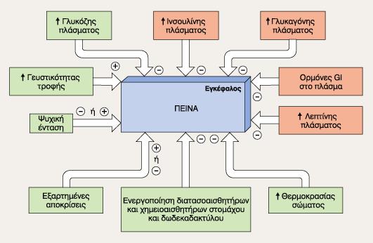 Μεταβολισμός ενέργειας Μεταβολικές προσαρµογές Oι προσαρμογές αυτές αντανακλώνται επίσης στις αλλαγές των συγκεντρώσεων υποστρωμάτων στο πλάσμα.