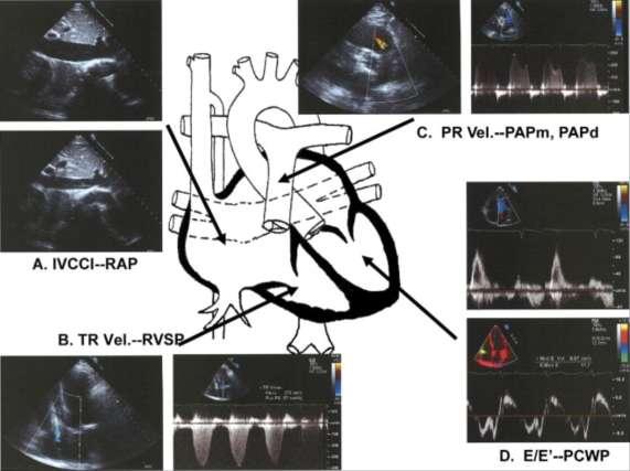 J Am Coll Cardiol. 2007;50(5):381-396.