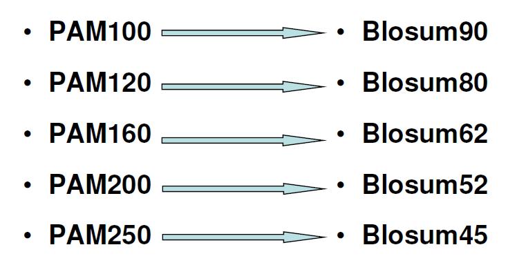 Σειρά πινάκων PAM-n όπου n: αποδεκτές σημειακές μεταλλάξεις εξελεγκτική απόσταση PAM PAM1: 1 αποδεκτή μετάλλαξη στα 100 αμινοξέα PAM250: 250 αποδεκτές μεταλλάξεις στα 100 αμινοξέα Μικρό n: Μικρή