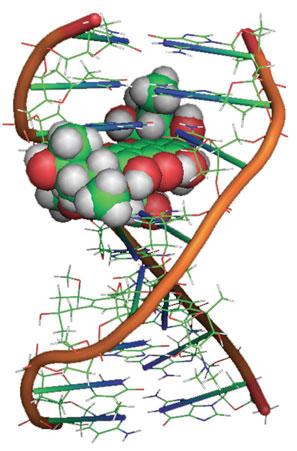 Μπορεί µια χηµική ένωση [Α] να αντιδράσει µε το DNA και να δώσει το σύµπλοκο [Β] ; Σχήµα: Μόριο που