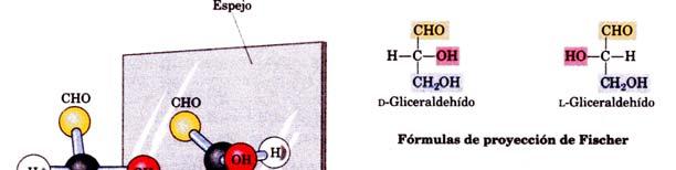 gliceraldehído Tema 7