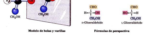 Bioquímica", 4ª ed.