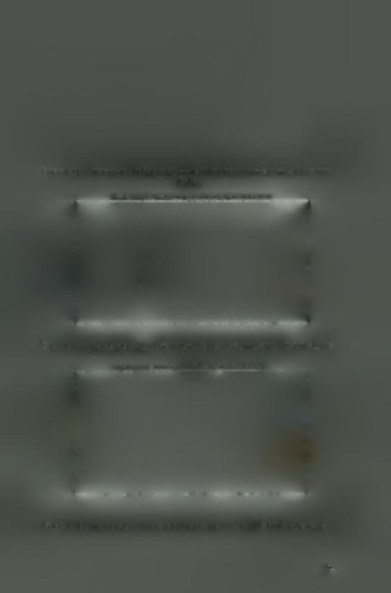 Σχήμα 4.3β): Πρωταρχικά δεδομένα για ιτέντε διαδοχικές χρονικές στιγμές διδιάστατης δομής time beginning=1 line conv15flata5v1#1re40cwithconv15flata5re8c Σχήμα 4.