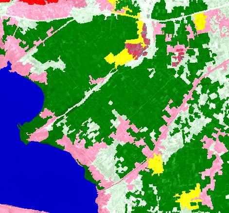 εισάγαμε και αφορούσαν τον δείκτη NDVI αλλά και της φωτεινότητας της εικόνας μας έδωσε το παρακάτω αποτέλεσμα (εικόνας 5.2) (Εικόνα 5.2. Απόσπασμα της περιοχής μελέτης). Όπως βλέπουμε στην εικόνα 5.