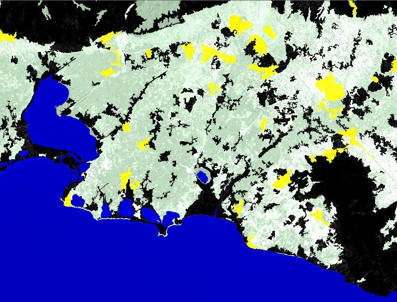 (εικόνα 3.3.3.6 με άσπρο χρώμα διακρίνονται οι καλλιεργήσιμες εκτάσεις ενώ με το μαύρο η μη καλλιεργήσιμες).