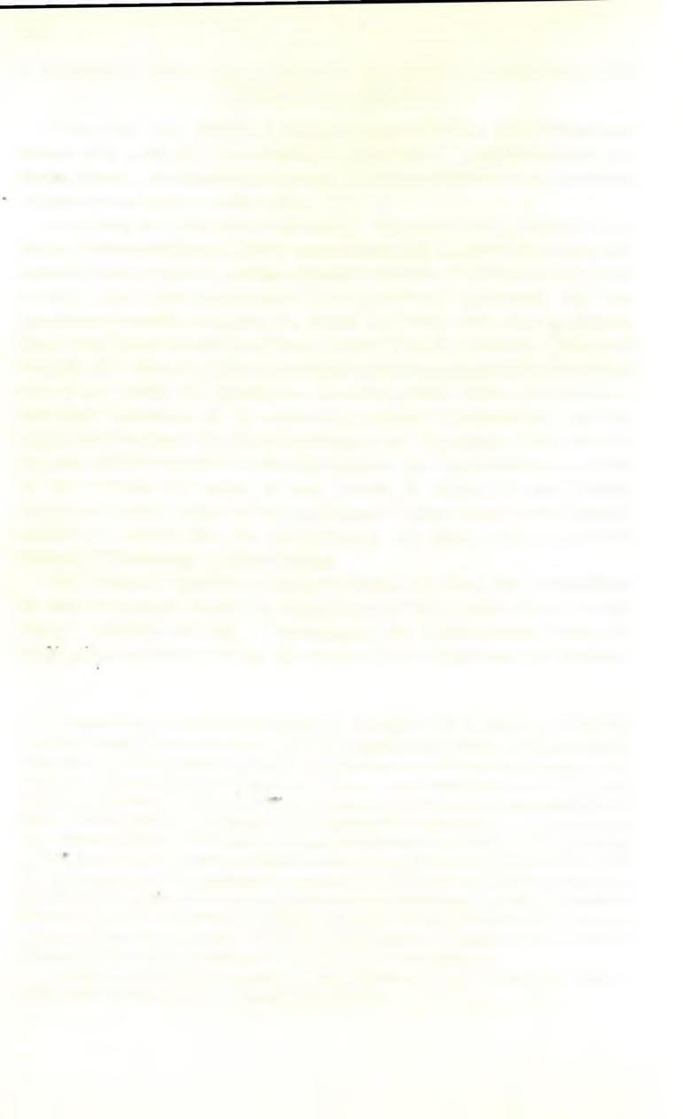 120 5. Sasanidische Werke über Kriegskunst, vornehmlich das Ain-nameh und die Taktik des sog.