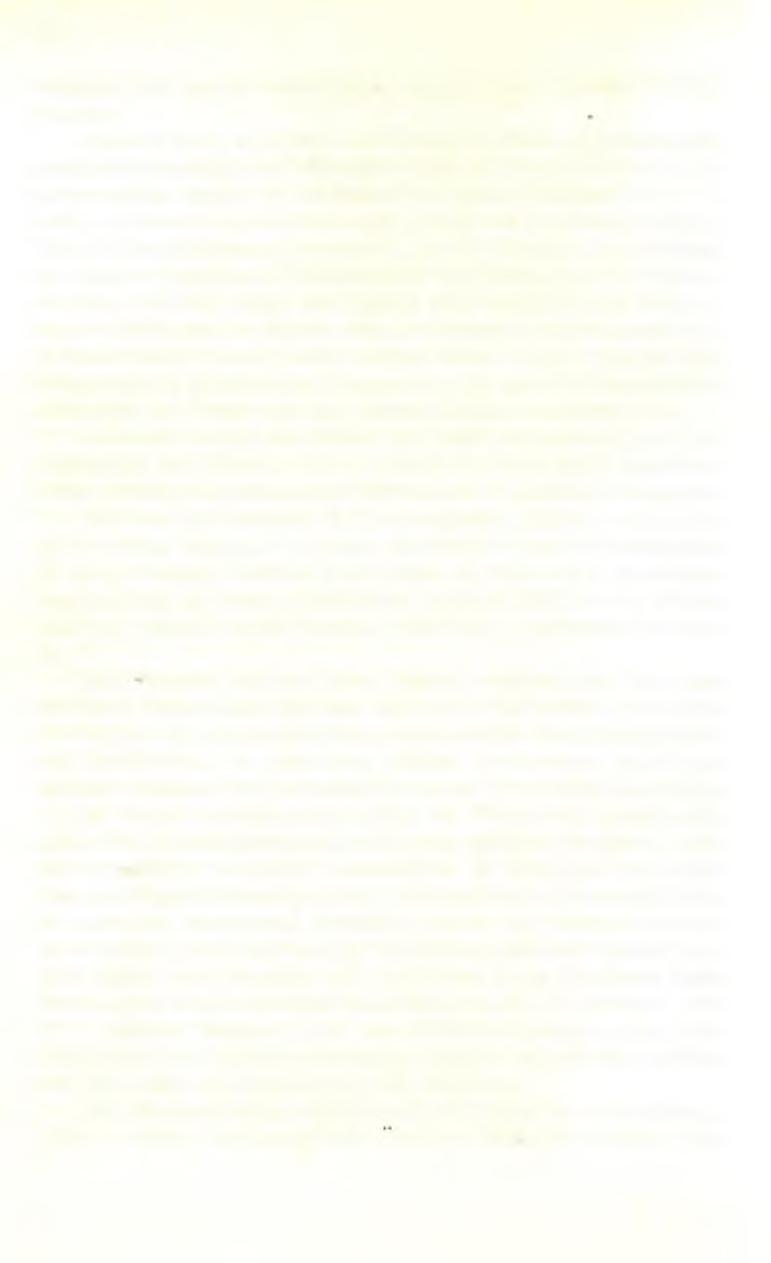 122 Fußangeln soll man an Stellen legen, an denen m an nächtliche Überfälle fürchtet». Maurikios lib. I, 9, p.