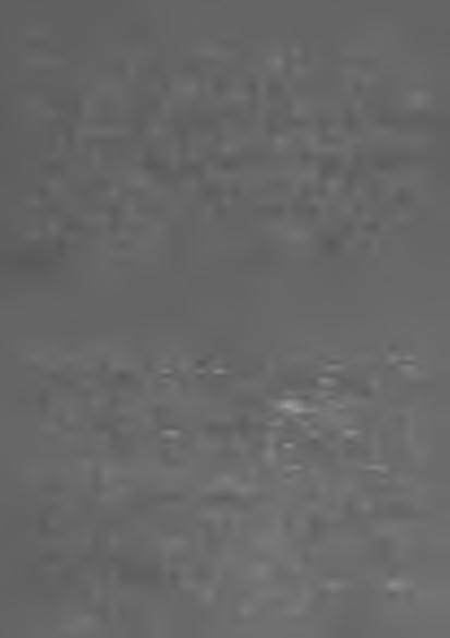ou xoû Ar)nr)xpvou A iap aorm ép r, xoû 14ou a i.. 'O A rm rîxpioç A tapaar iéptiç ûrcfjp^e, X oittôv, (TKSuocpûXa^ Kai à p y ô x ep a o ik o v ô io ç xoû v aoû xrjç AxEipoTtoirixou.