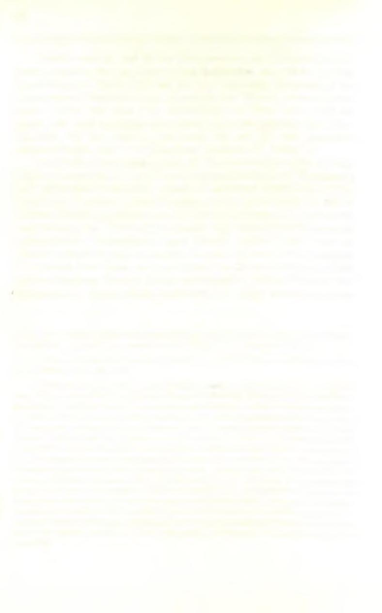 98 3. Die Handschriften unddie Überlieferung des Codex Medeceo-Laurentianus LV,4 Scheffer legte die von H olste übernom m enen vier H andschriften zugrunde, steuerte aber als Eigenleistung