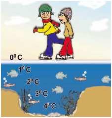 Σε αυτό οφείλεται το γεγονός ότι τον χειµώνα, αν η επιφάνεια µιας λίµνης παγώσει, ο βυθός της θα παραµείνει σε υγρά µορφή.
