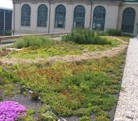 com/reen-roof-systems) Εκτατικός Τύπος Ημιεντατικός Τύπος Εντατικός Τύπος Τύποι Συντήρηση Μικρή Περιοδική Υψηλή Άρδευση Όχι Περιοδική Συχνά Φυτικό υλικό Συνολικό ύψος συστήματος Βάρος