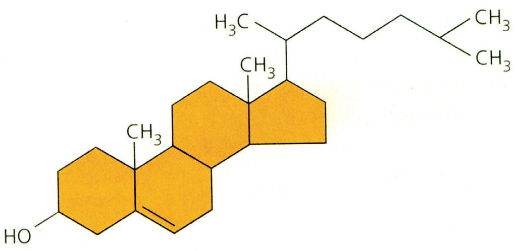 Ερώτηση 2 (Μονάδες 5) Το πιο κάτω σχήμα απεικονίζει το μόριο της χοληστερόλης που είναι ένα στεροειδές με μεγάλη βιολογική σημασία.