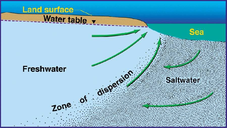(ειδικό βάρος 1.025 gr/cm 3 ). Οι υδραυλικές παράμετροι του υδροφορέα στη ζώνη αυτή μεταβάλλονται καθώς αλλάζει η πυκνότητα εξαιτίας της μεταβολής της συγκέντρωσης άλατος.