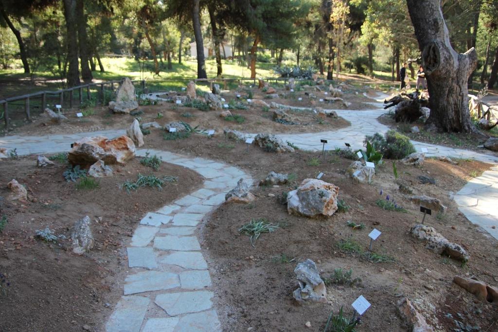 Ο Βξαρόθεπνο Διιεληθώλ Γεσθύησλ ζηε κλήκε Μπξηώο Απέξγε