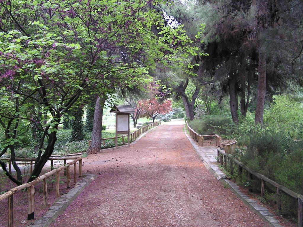 Όξηα κεηαμύ ησλ Σκεκάησλ