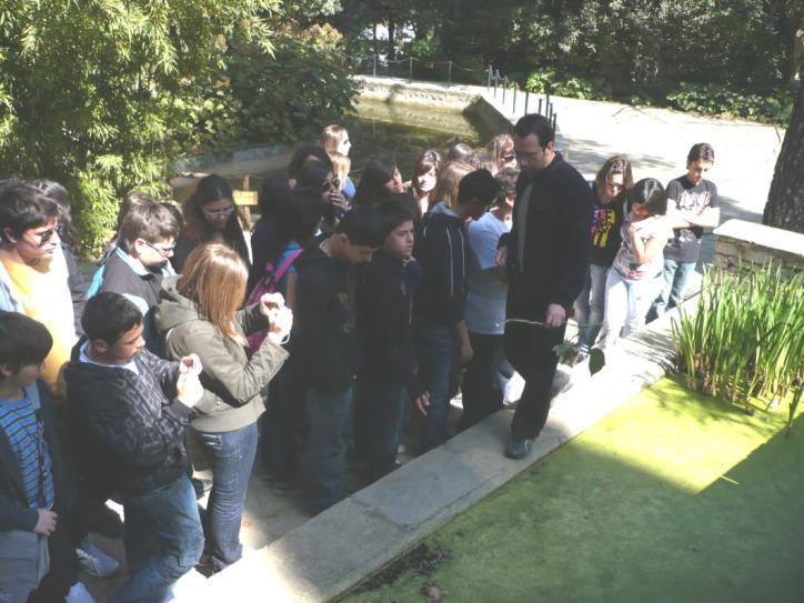 πξνζηαζία ηεο θύζεο θαη θπζηθά ηεο ειιεληθήο