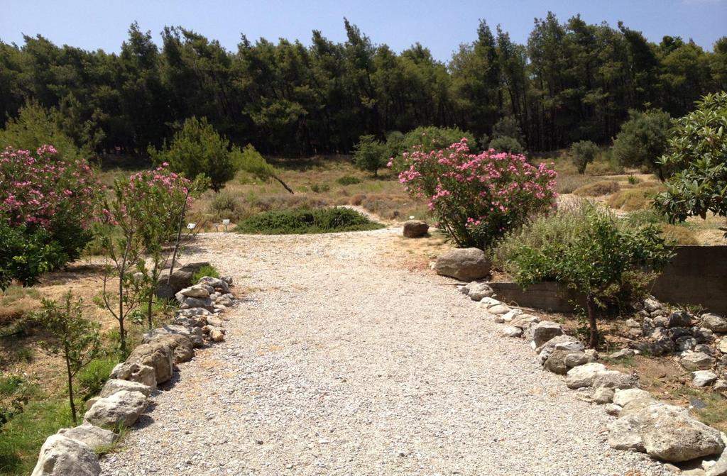 Εσληαλό Μ Ο Τ Δ Η Ο ην Γηεζλέο Ηππνθξάηεην