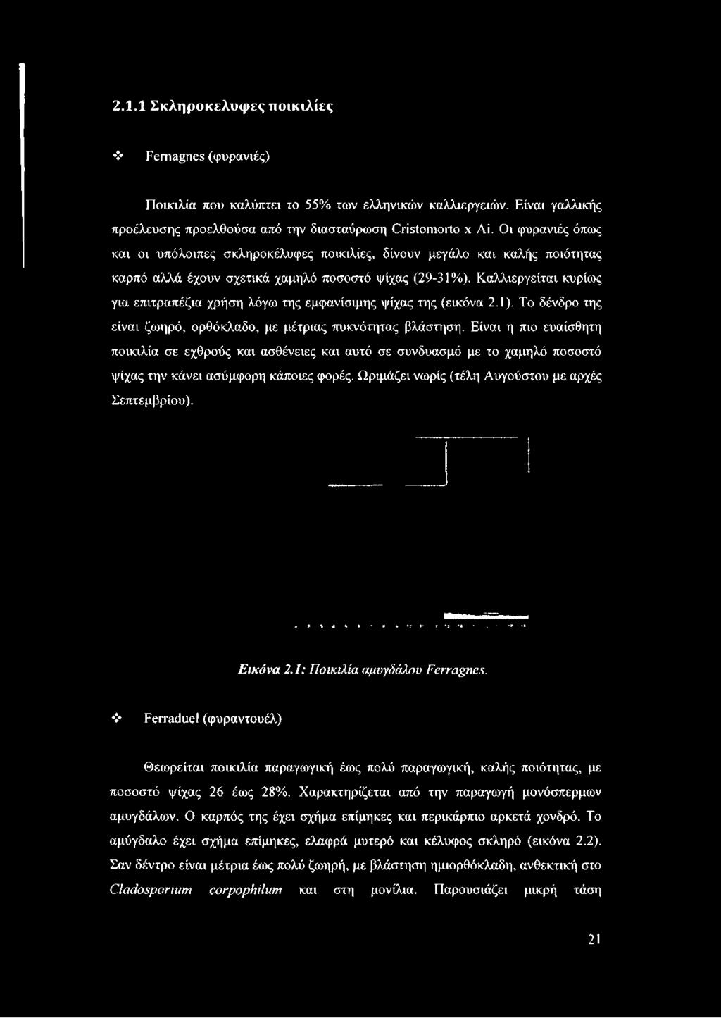 Καλλιεργείται κυρίως για επιτραπέζια χρήση λόγω της εμφανίσιμης ψίχας της (εικόνα 2.1). Το δένδρο της είναι ζωηρό, ορθόκλαδο, με μέτριας πυκνότητας βλάστηση.