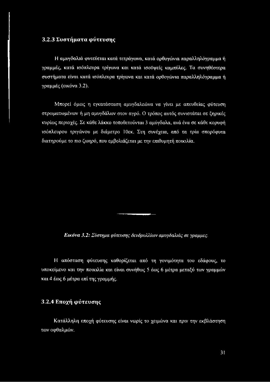 Μπορεί όμως η εγκατάσταση αμυγδαλεώνα να γίνει με απευθείας φύτευση στρωματωμένων ή μη αμυγδάλων στον αγρό. Ο τρόπος αυτός συνιστάται σε ξηρικές κυρίως περιοχές.