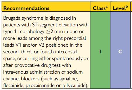 Brugada J et al,