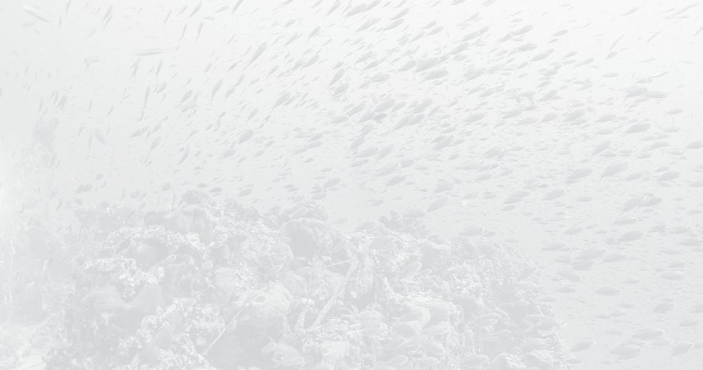 Η ΙΣΤΟΡΙΑ 100 ΧΡΟΝΙΑ ΠΡΙΝ