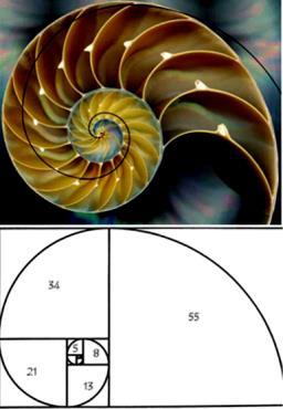 Η   Η   3