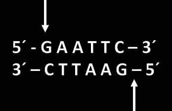 Restriction Analysis ΠΟΣΟ ΓΡΗΓΟΡΑ ΚΙ ΕΥΚΟΛΑ ΜΠΟΡΕΙΤΕ ΝΑ ΑΝΑΖΗΤΗΣΕΤΕ ΤΟ ΜΟΤΙΒΟ ΜΕΣΑ ΣΕ ΜΙΑ ΑΚΟΛΟΥΘΙΑ