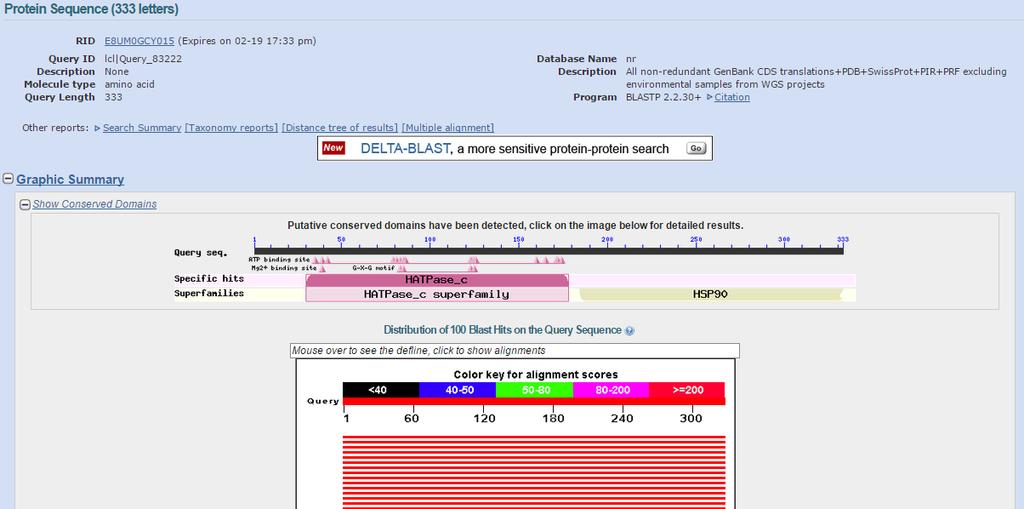 NCBI - ORF Finder Εικόνα 1: Παράδειγμα