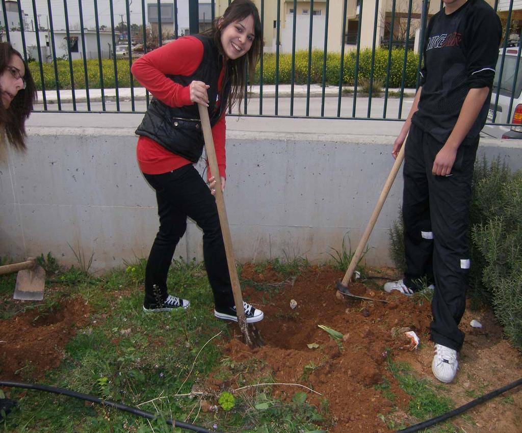 Φυτεύσεις θάµνων